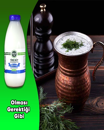 Olması Gerektiği Gibi